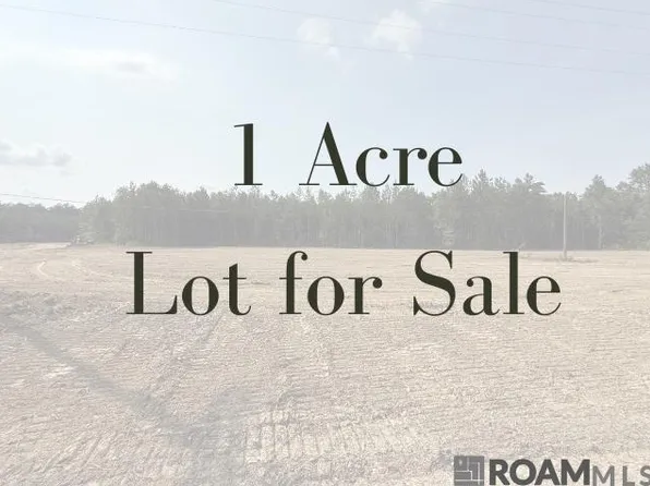 19043 State Highway 444, Livingston, LA 70754