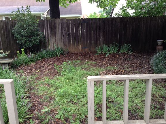 BACK YARD