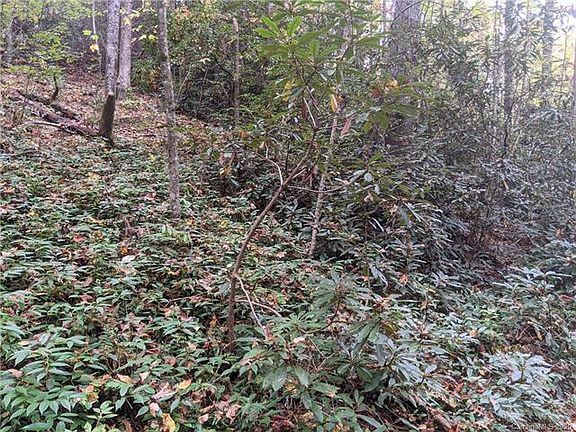 4th image of 0 W Lake Dr N #21