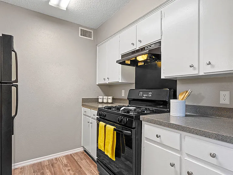Modern kitchen featuring gas stove and ample counter space
