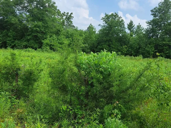 0 Jb Anderson Est, Keithville, LA 71047