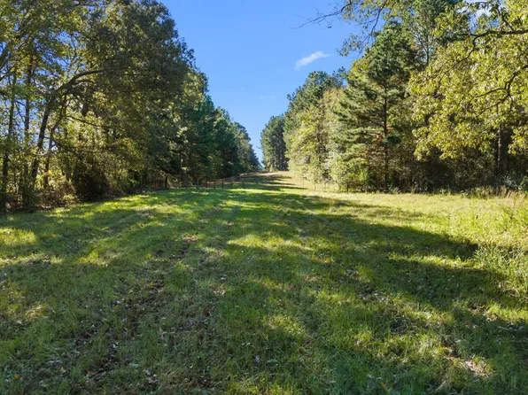 County Road 233 #D, Overton, TX 75684
