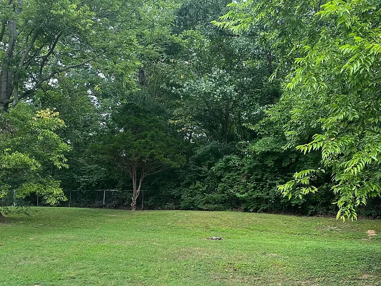 133 Needles Ct — Photo 15