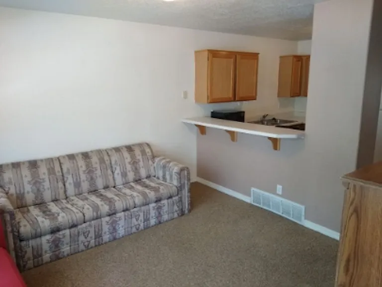 519 S 1275 W — Photo 6
