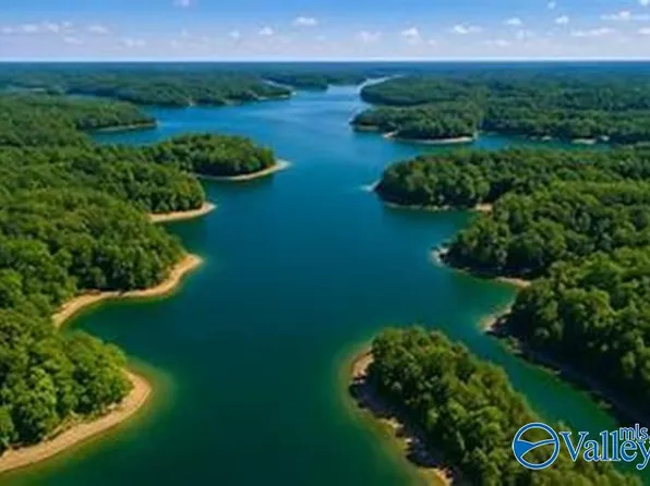 Big Bear Branch Rd, Double Springs, AL 35553