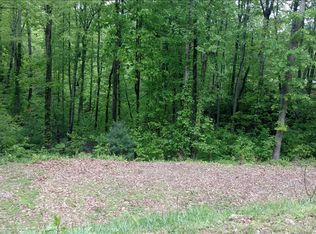 L-107 Brasstown Rd, Brasstown, NC 28902
