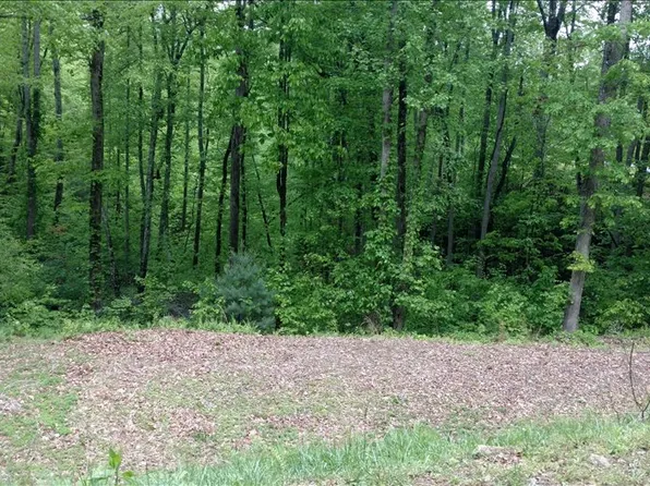 L-107 Brasstown Rd, Brasstown, NC 28902