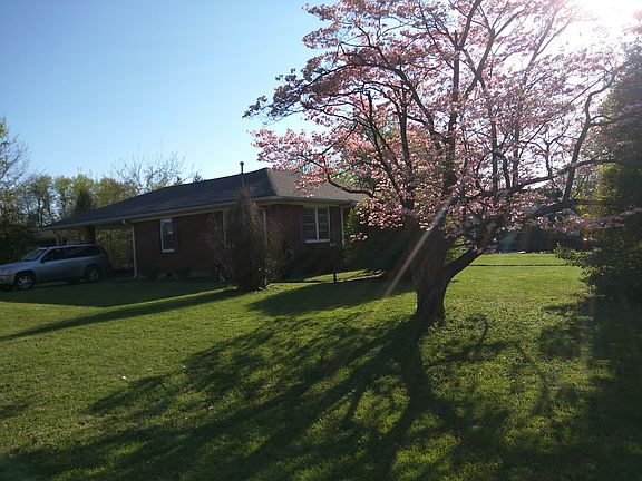 Beautiful Dogwood out front