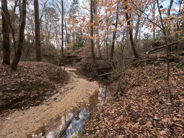 Saint John Rd, Braxton, MS 39044