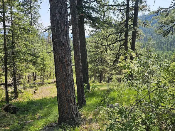 Nna Christmas Ln Lot 47, Naples, ID 83847