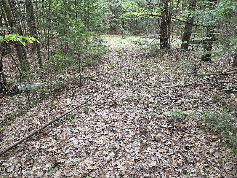 2nd image of L2 & L3 Old Schroon Road