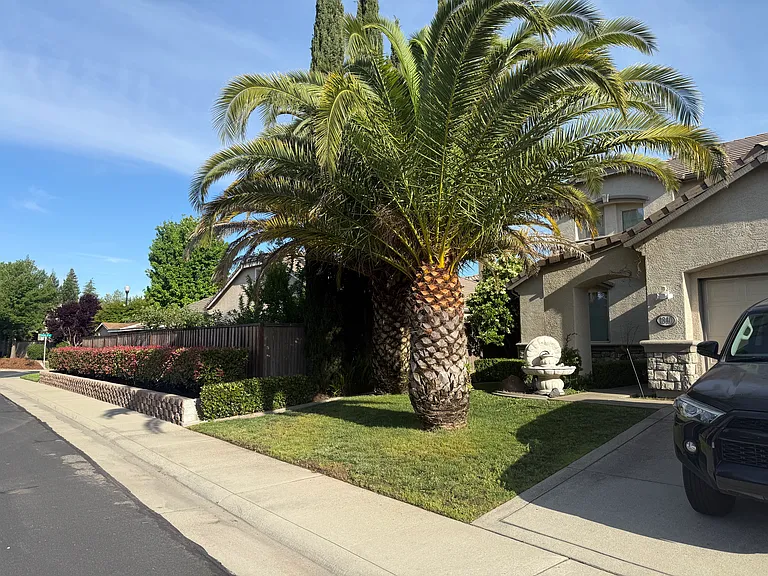 1840 Diamond Woods Cir — Photo 2