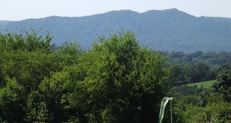 1st image of 1461 Highway 321