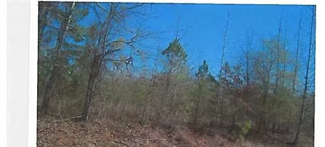 0 Williamson Zebulon Rd photo 1