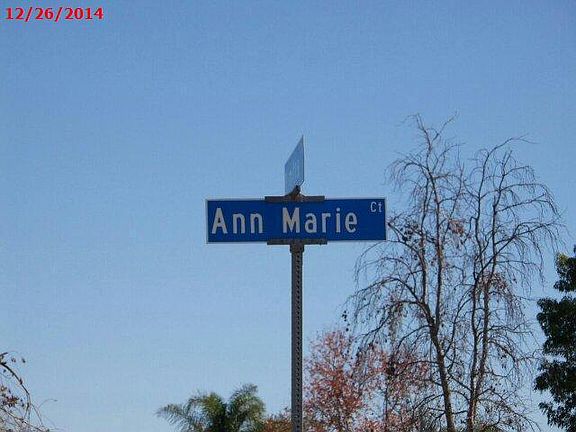 5th image of 14117 Ann Marie Ct
