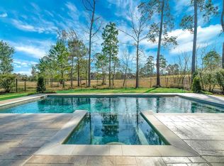 6 Chivary Oaks Ct, Spring, TX 77382