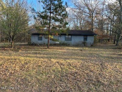 696 Coal Bluff Rd, Lena, MS, 39094