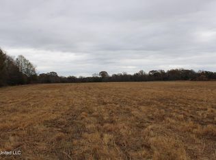 4 Rice Chapel Rd, Lamar, MS 38642