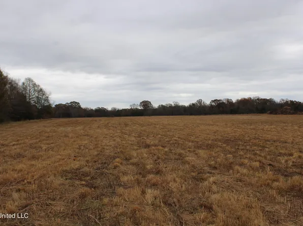 4 Rice Chapel Rd, Lamar, MS 38642