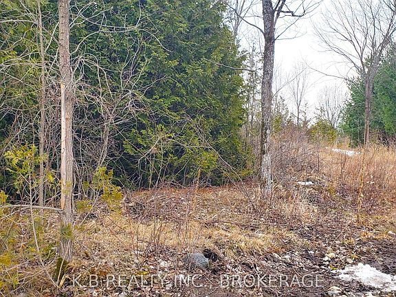 3rd image of 0 Adair Rd