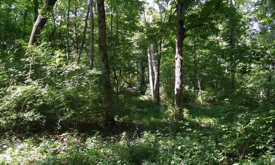 2nd image of 4872 Fowler Creek Rd