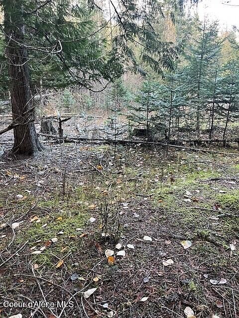 2nd image of Nna Lot 32