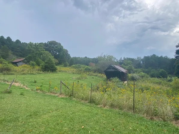 Tbd Guinea Mountain Rd, Pearisburg, VA 24134