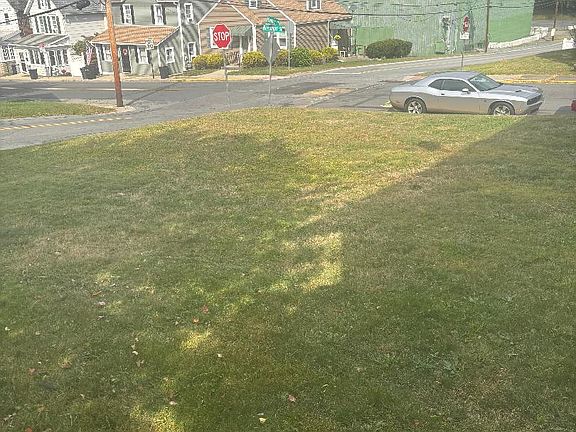 side of backyard