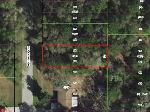 259 N Charles Ave Lot 68, Inverness, FL 34453
