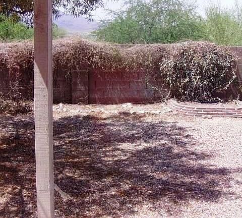 2nd image of 8129 N Ivory Rose Dr