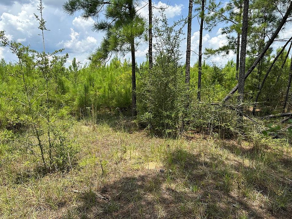 30AC Old Elba Rd W, Coffee Springs, AL 36318 Zillow