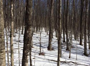 2914 Roby Rd, Johannesburg, MI 49751