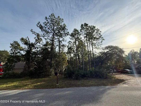 0 Long Lake Ave, Brooksville, FL 34613