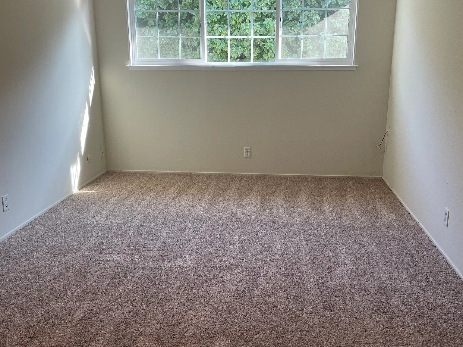601 Madrone Ave — Photo 3