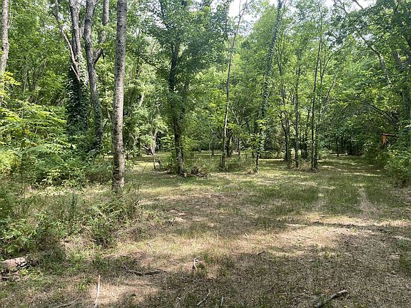 5th image of 8201 Tiller Ct