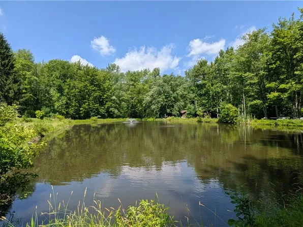 4370 Murphy Rd, Thompson, OH 44086