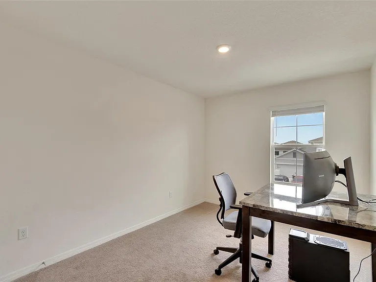 17029 Blister Wing Dr — Photo 24