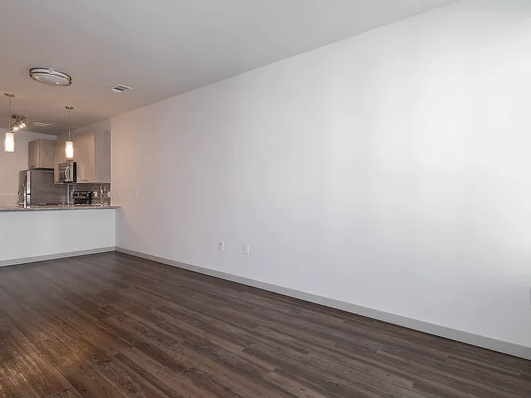 Living Area and Kitchen with Hard Surface Flooring