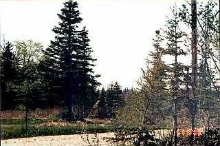 1st image of L5 B4 Sterling Mi 122 Hwy