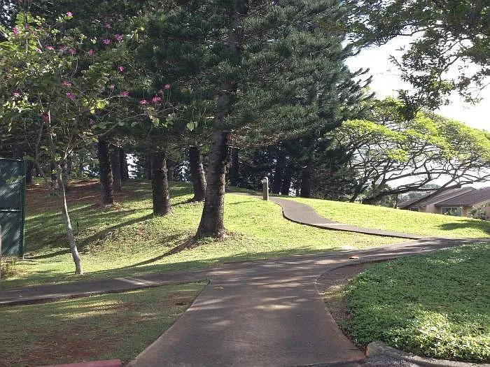 Walking paths with security