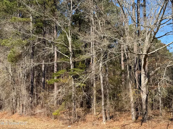 State Highway 16, Camden, MS 39045