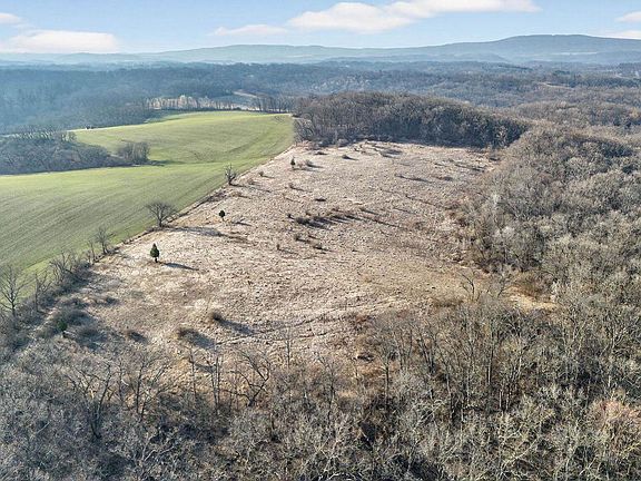 4th image of 271.18 acres Zwettler/Foster Road #N/A