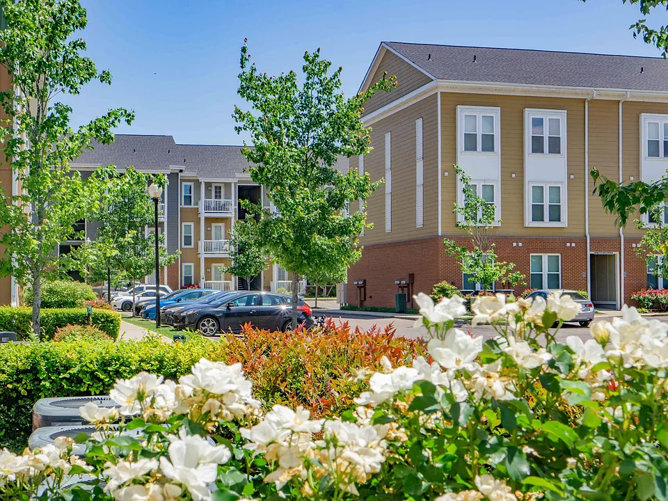 South Junction Apartments