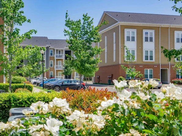 South Junction Apartments, 9 E Carolina Ave #0B-1Ba-430Sqft, Memphis, TN 38103