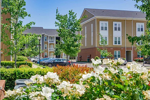 South Junction Apartments Photo 1