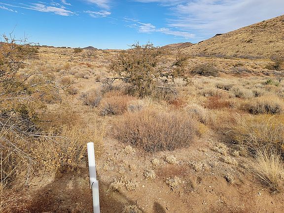 View from sw corner of 10 ac