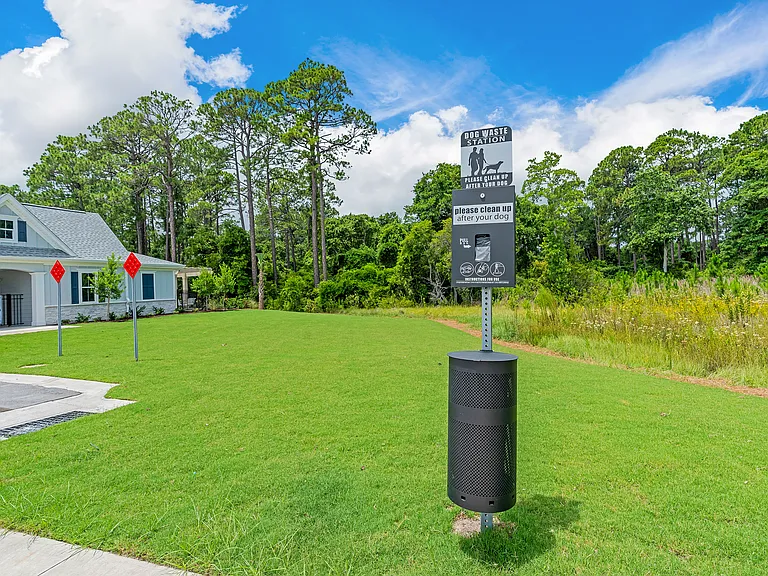 302 Cyan Ln — Photo 33