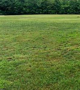 2348 Battlefield Blvd S, Chesapeake, VA, 23322