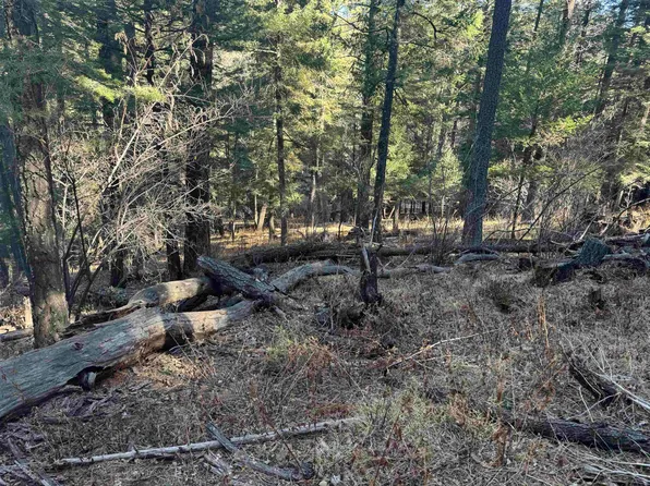 29 Gold Nuggett Aly, Cloudcroft, NM 88317