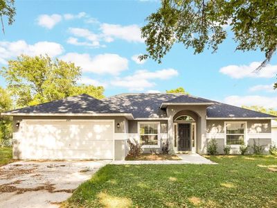 205 Lori Ct, Umatilla, FL, 32784